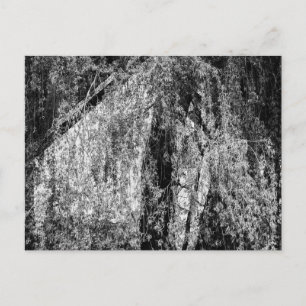 Stillleben Zuhause Feiertagspostkarte