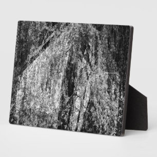 Stillleben Zuhause Fotoplatte