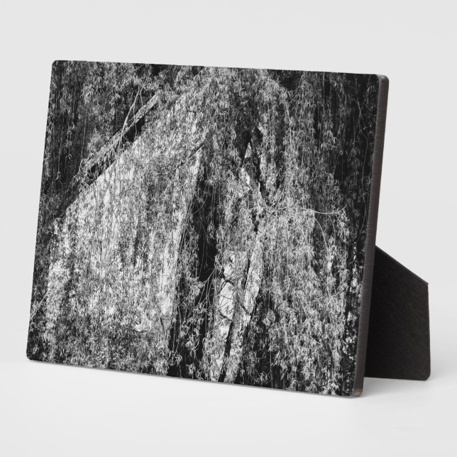 Stillleben Zuhause Fotoplatte (Seite)