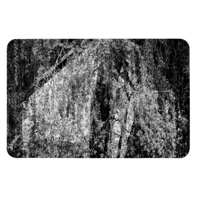 Stillleben Zuhause Magnet (Horizontal)