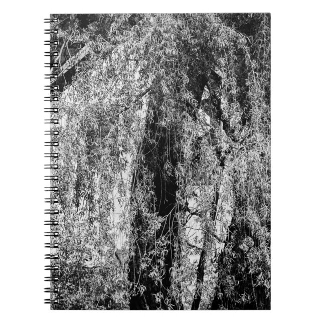 Stillleben Zuhause Notizblock (Vorderseite)