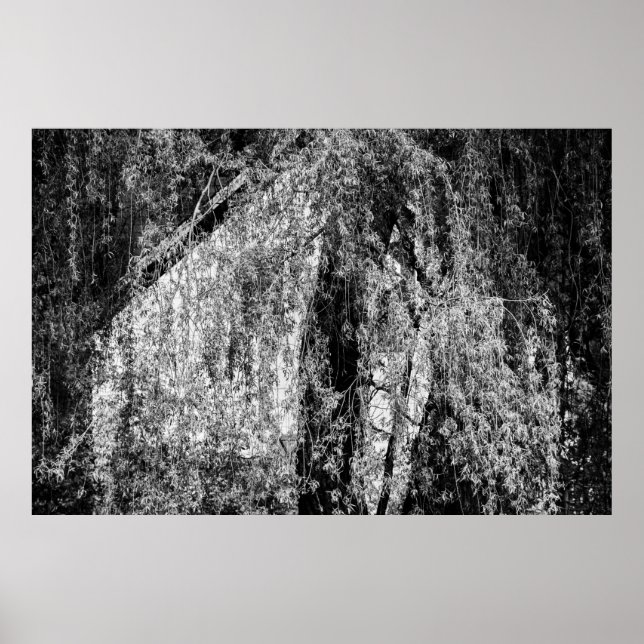 Stillleben Zuhause-Poster Poster (Vorne)