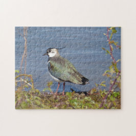 Stilllegen im Poliermodus Puzzle