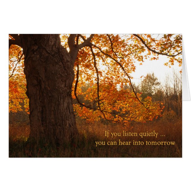 Stillstand im Herbst (Vorderseite (Horizontal))