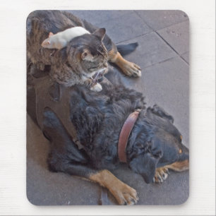 Stillstehen einfach mousepad