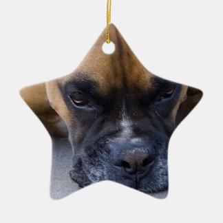 Stillstehende Boxer-Hundeverzierung Keramikornament