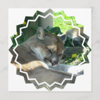 Stillstehende Puma-Einladung