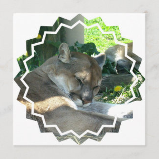 Stillstehende Puma-Einladung Einladung