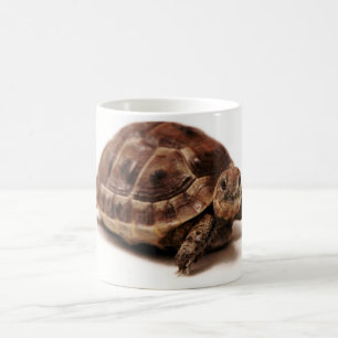 Stillstehende Schildkröte Kaffeetasse