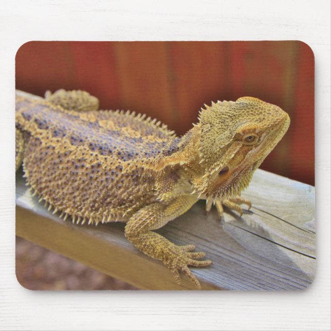 Stillstehender bärtiger Drache 2 Mousepad (Vorne)