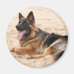 Stillstehender Schäferhund-Hundemagnet Magnet