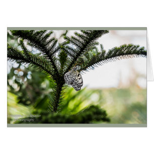 Stillstehender Schmetterling