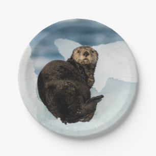 Stillstehender Seeotter Pappteller