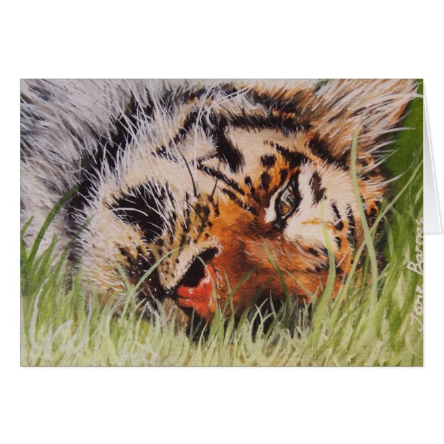Stillstehender Tiger (Vorderseite (Horizontal))