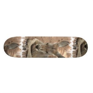 Stillstehendes Känguru-Skateboard Skateboard