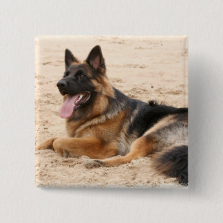 Stillstehendes Schäferhund-Hundequadrat-Button Button