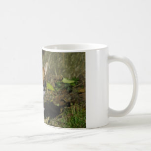 Stilvoll gekleidet Chihuahua Puppy Tasse