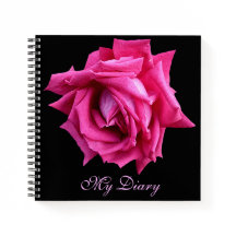 Stilvoll hübsche, rosa Rose Blume Schwarz-Trend