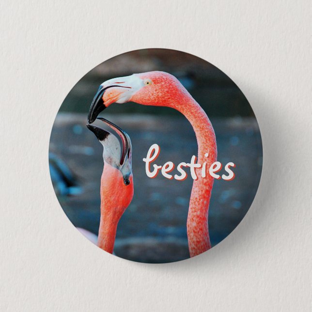 Stilvoll Modernes Pink Flamingos Foto Besties Scri Button (Vorderseite)