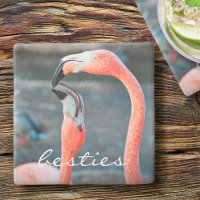 Stilvoll Modernes Pink Flamingos Foto Besties Scri