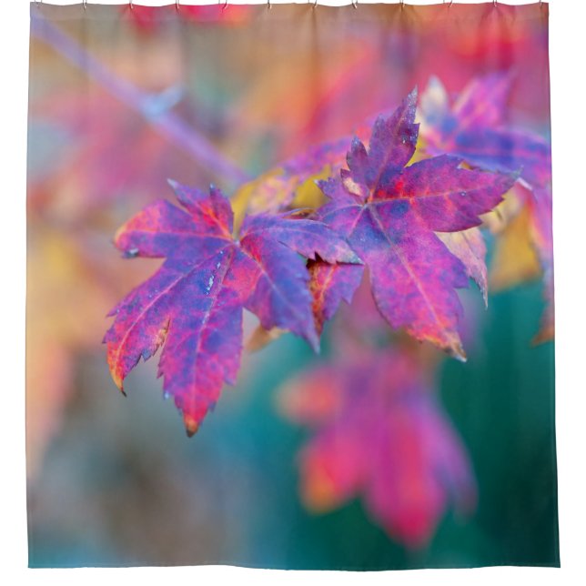 Stilvolle japanische Ahorn-Blätter Duschvorhang (Vorderseite)