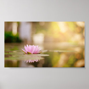 Stilvolle Lotus Blume Landschaft, Zen Poster