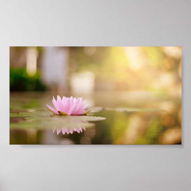 Stilvolle Lotus Blume Landschaft, Zen Poster (Vorne)