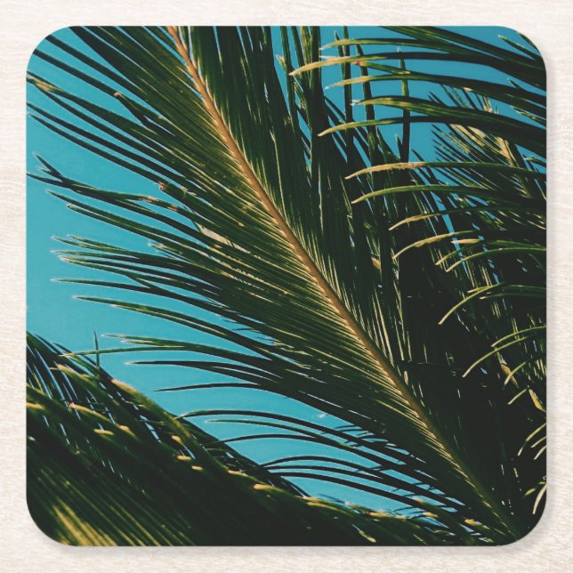 Stilvolle Palm Tree Blätter Square Paper Untersetz Rechteckiger Pappuntersetzer (Vorderseite)