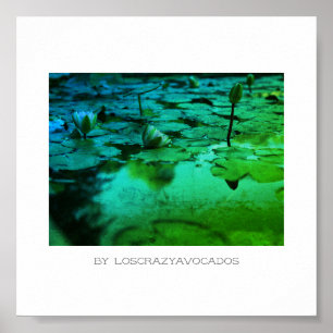 Stilvolle Pink Water Lily Blume Pond Poster