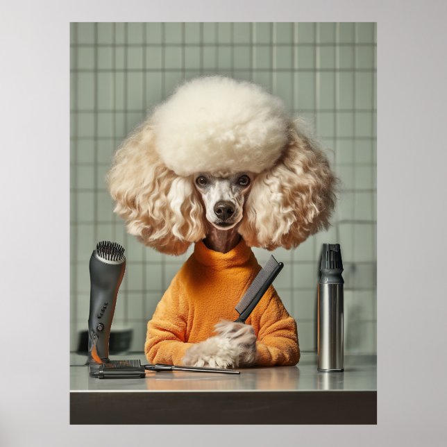 Stilvolle Poodle Grooming Session Poster (Vorne)