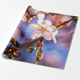 Stilvolle Sakura-Blüten Geschenkpapier