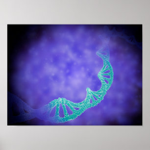 Stilvolle Sicht auf DNA-Stränge Poster