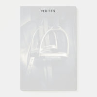 Stilvolle Silver Stirrups auf English Riding Saddl