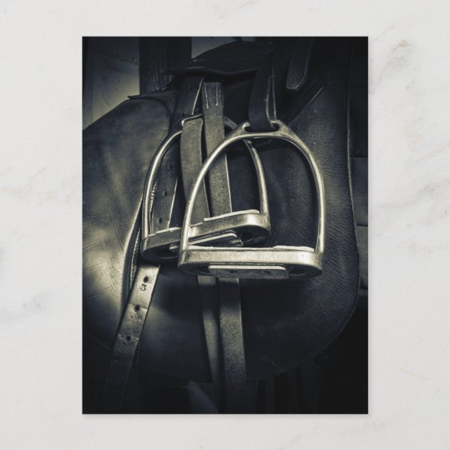 Stilvolle Silver Stirrups auf English Riding Saddl Postkarte (Vorderseite)