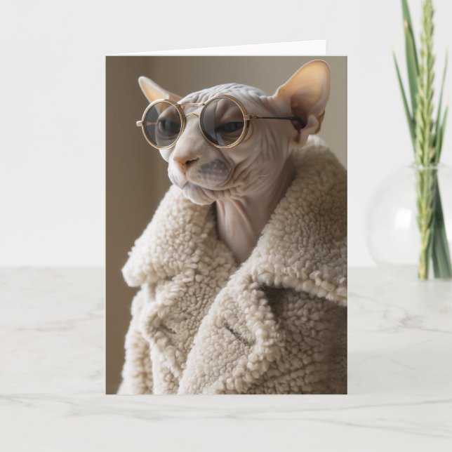 Stilvolle Sphynx-Katze in Sonnenbrille und Sherpa- Einladung (Vorderseite)