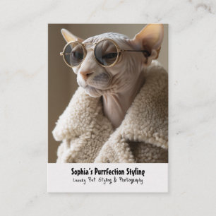Stilvolle Sphynx-Katze in Sonnenbrille und Sherpa- Visitenkarte
