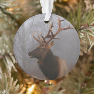 Stilvolle und elegante Weihnachtselke Ornament