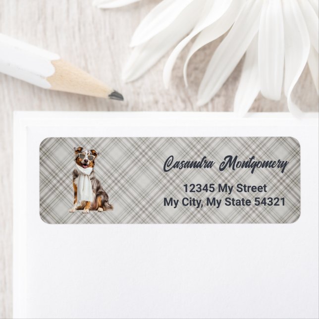 Stilvoller Australian Shepherd Hund Karo Address (Insitu)