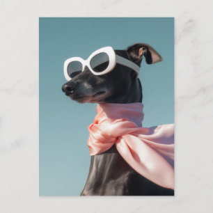 Stilvoller Hund mit Sonnenbrille Schal Postkarte