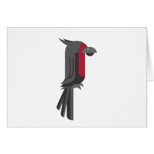 Stilvolles Black Palm Cockatoo