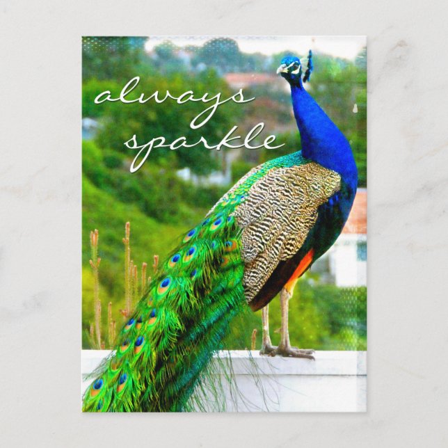 Stilvolles Blue Green Peacock Foto immer Sparkle Postkarte (Vorderseite)