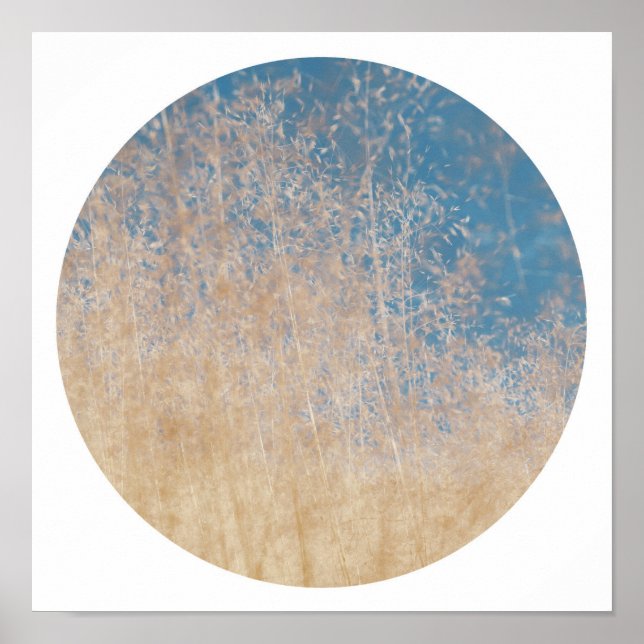 Stilvolles Golden Grass Blue Sky Dreamy Poster (Vorne)