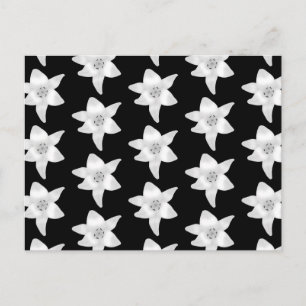 Stilvolles Lily Muster in Schwarz und Weiß. Postkarte