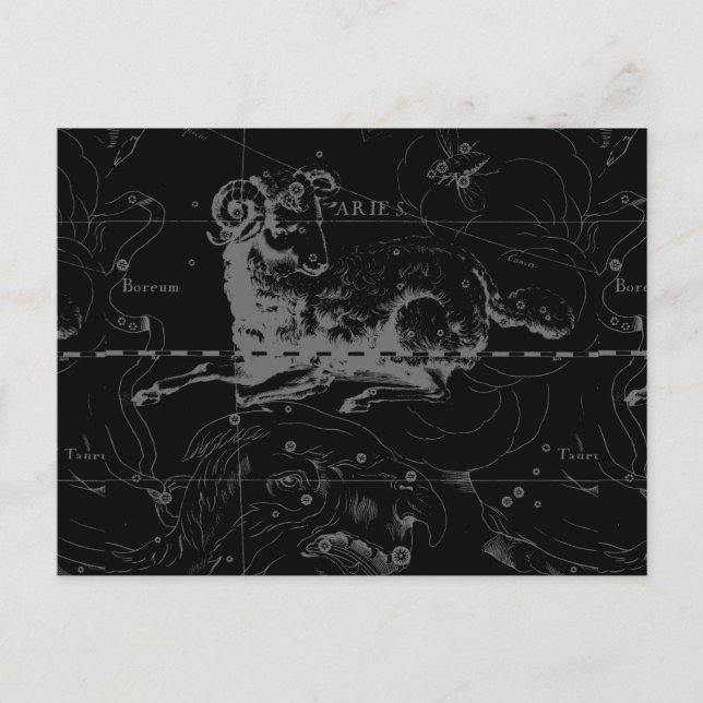 Stilvolles Vintag Aries-Sternbild von Hevelius Postkarte (Vorderseite)