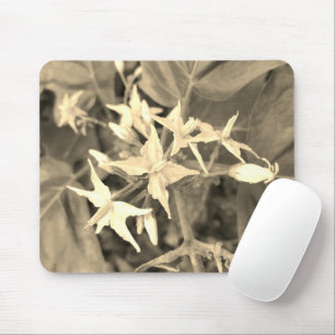 STIMME DER NATUR MOUSEPAD