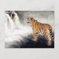 Stimme des Tigers