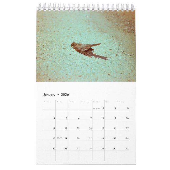 Stimmung: 2019 kalender (Jan 2026)