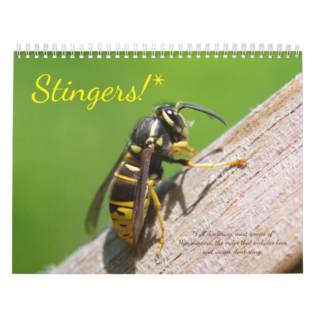 Stingers! Ein Kalender für Bienen und Abfälle (Titelbild)