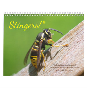 Stingers! Ein Kalender für Bienen und Abfälle
