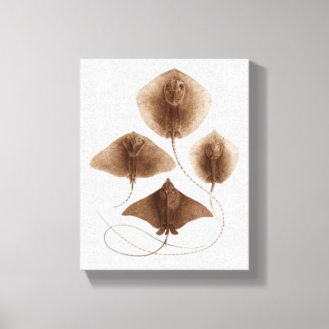Stingray #2 Wrapped Canvas Wall Art Leinwanddruck (Vorderseite)